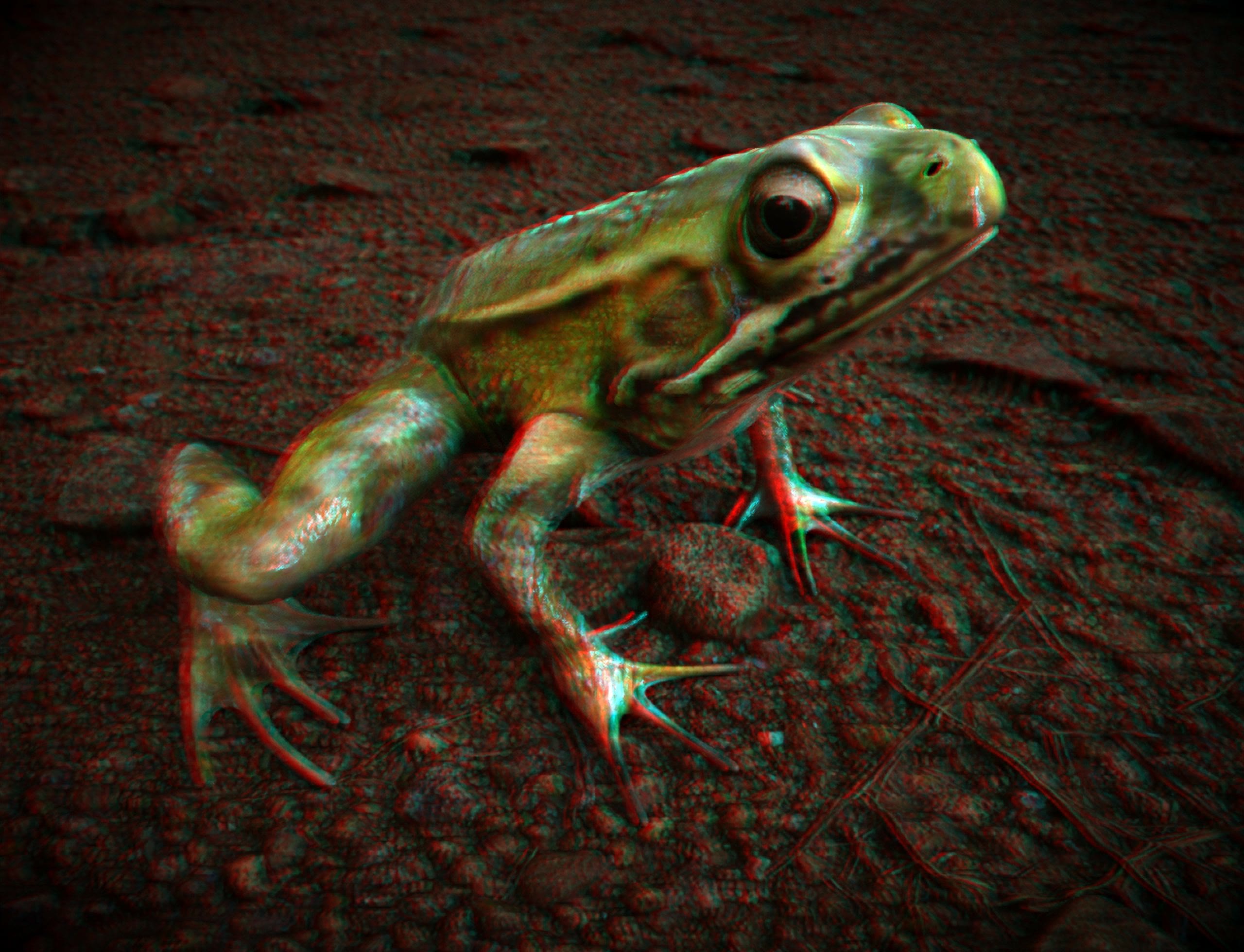Darwin 2.0 frog stereoscopic render
